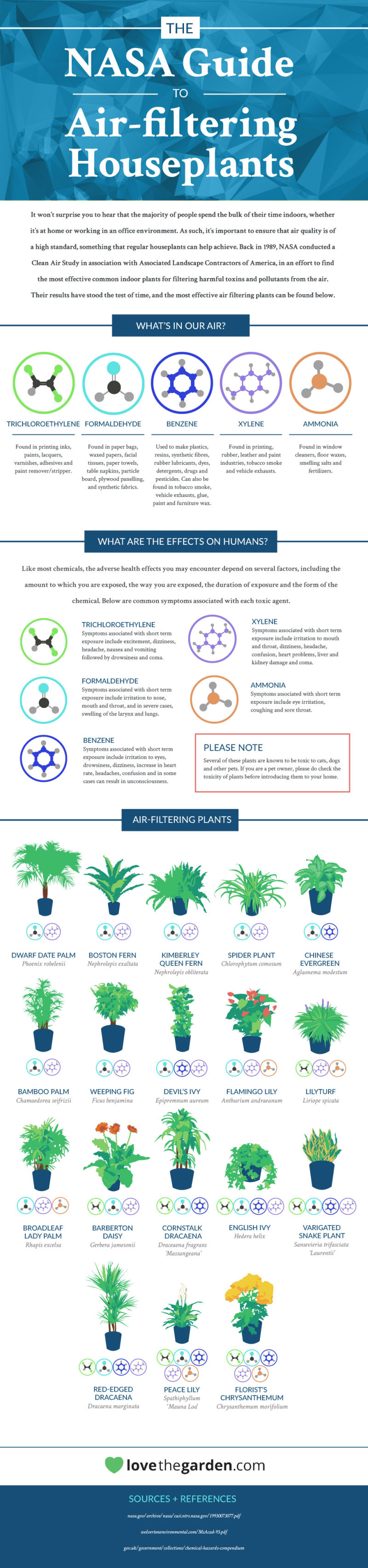 NASA air filtering houseplants