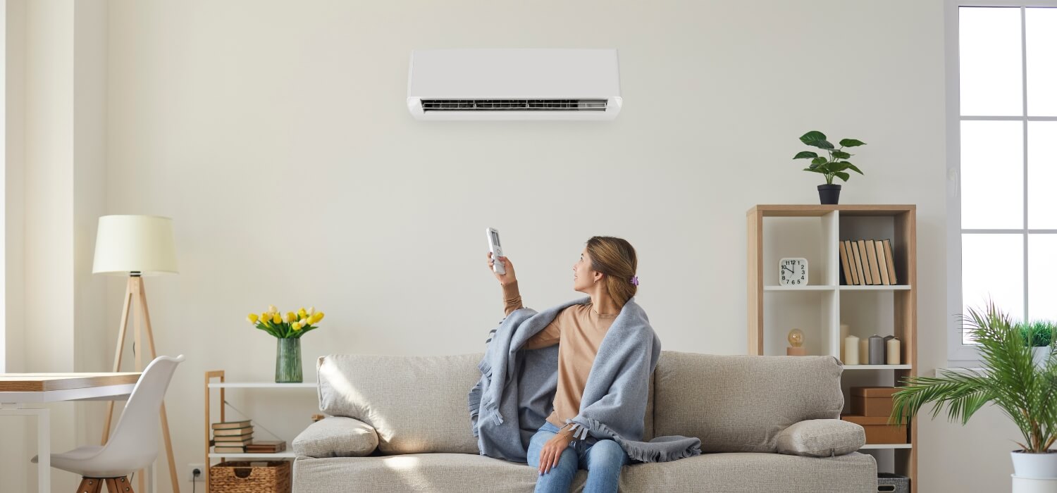 Ductless Mini-Split Air Conditioner