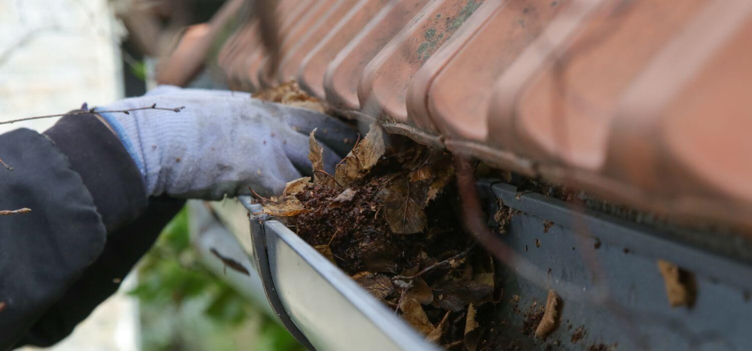 cleaning-house-gutter-out